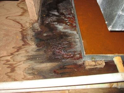 About Virginia Beach Water Damage Restoration - water damage restoration near me experts in Virginia Beach